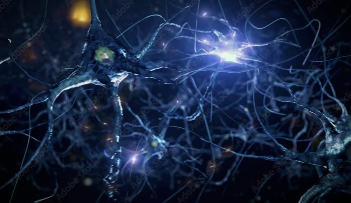neurons connected to other neurons